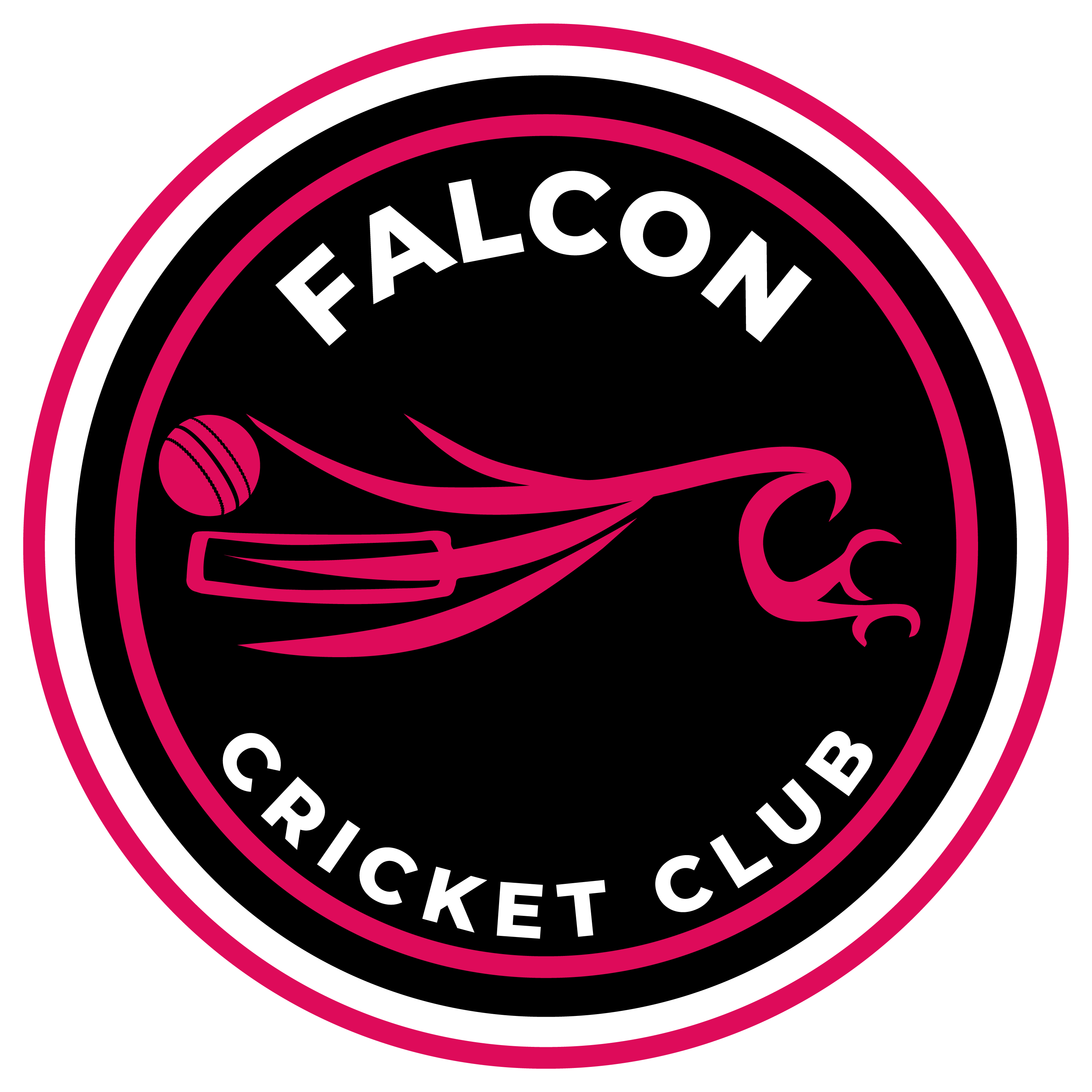 Falcon Cricket Club